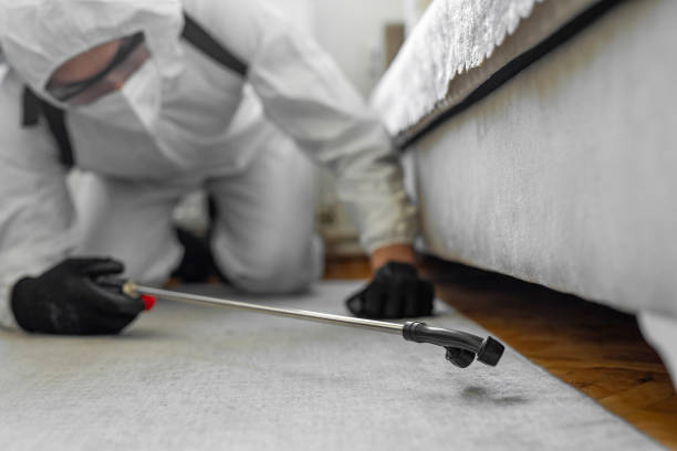 Professional Pest Control technician working in Bawcomville, LA
