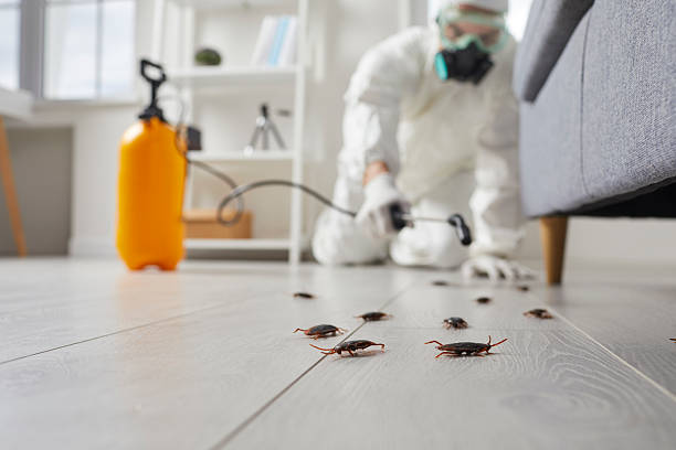 Trusted Mosquito Control service in Bawcomville, LA - Nex Pest Control